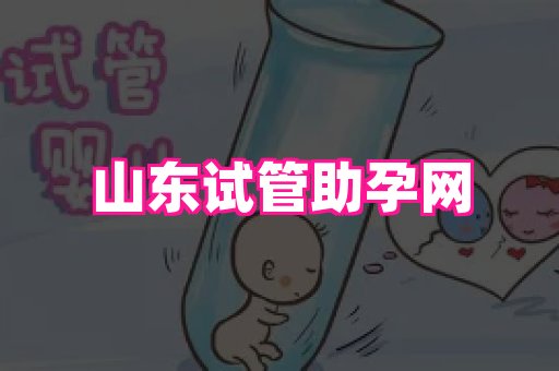 生殖助孕网站 1